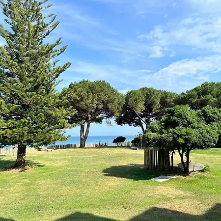 Confort Au Calme, Vue Mer, Terrasse, Piscine Et Santa-Lucia-di-Moriani